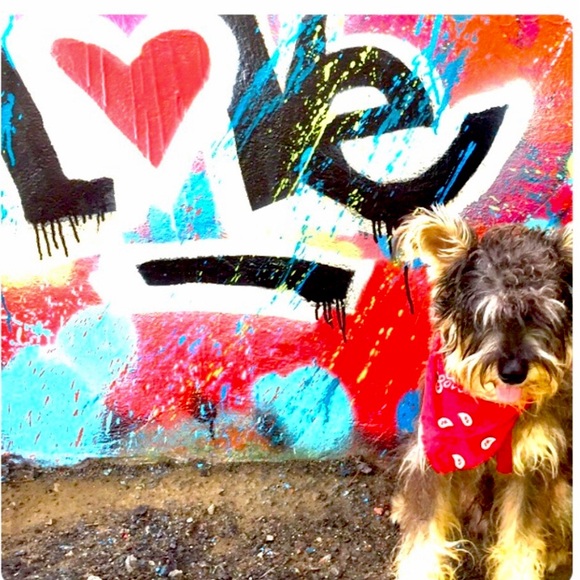 Meet your Posher, Tina - Picture 11 of 11